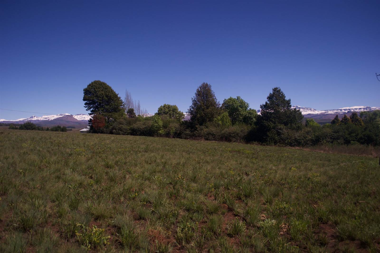 2481 m² Land available in Underberg photo number 1