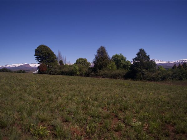 2481 m² Land available in Underberg