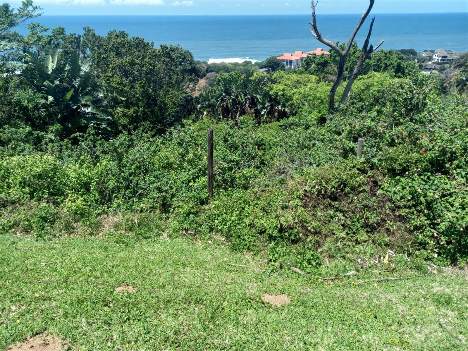 1180 m² Land available in Zinkwazi Beach photo number 7