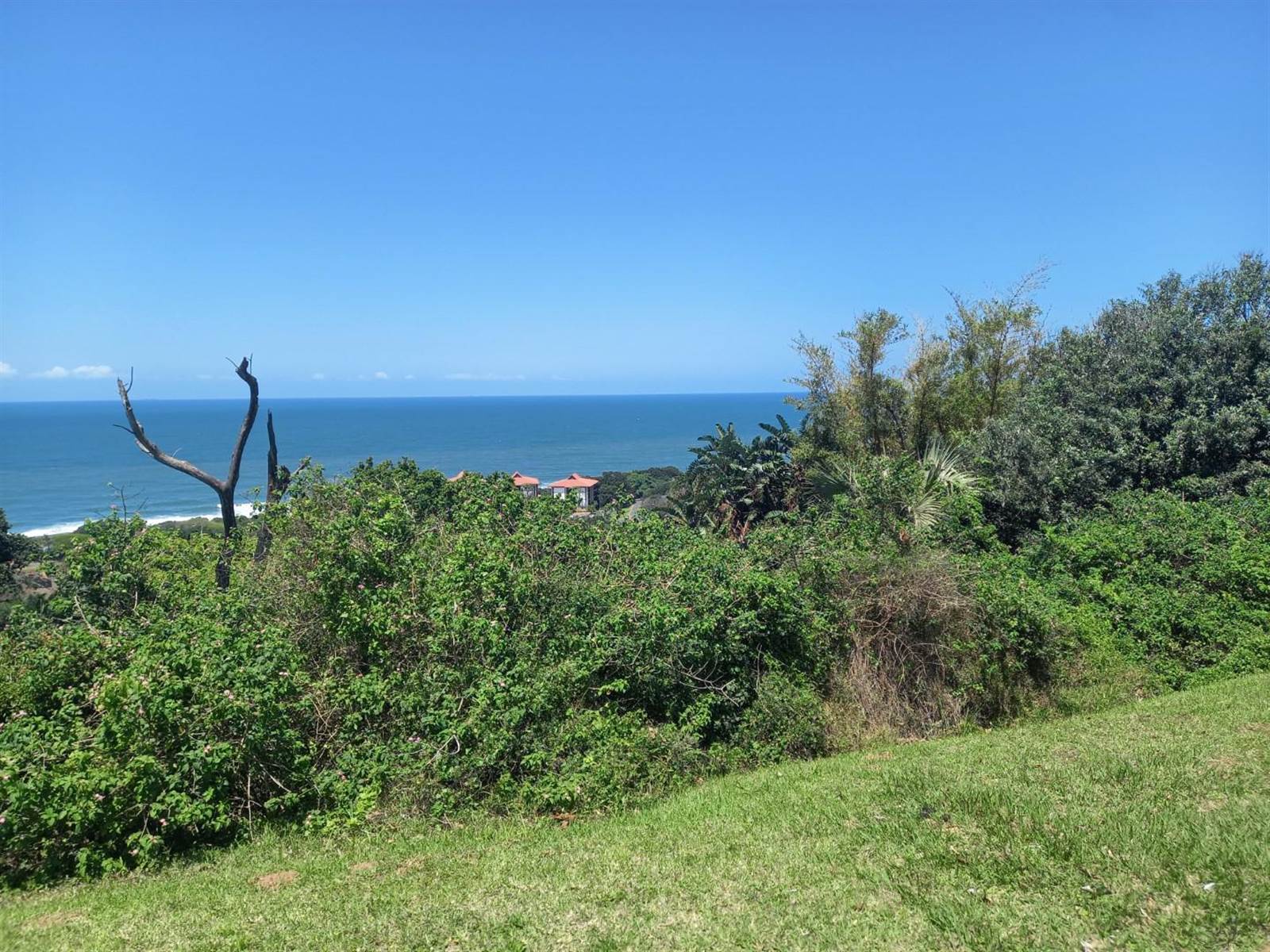 1180 m² Land available in Zinkwazi Beach photo number 12