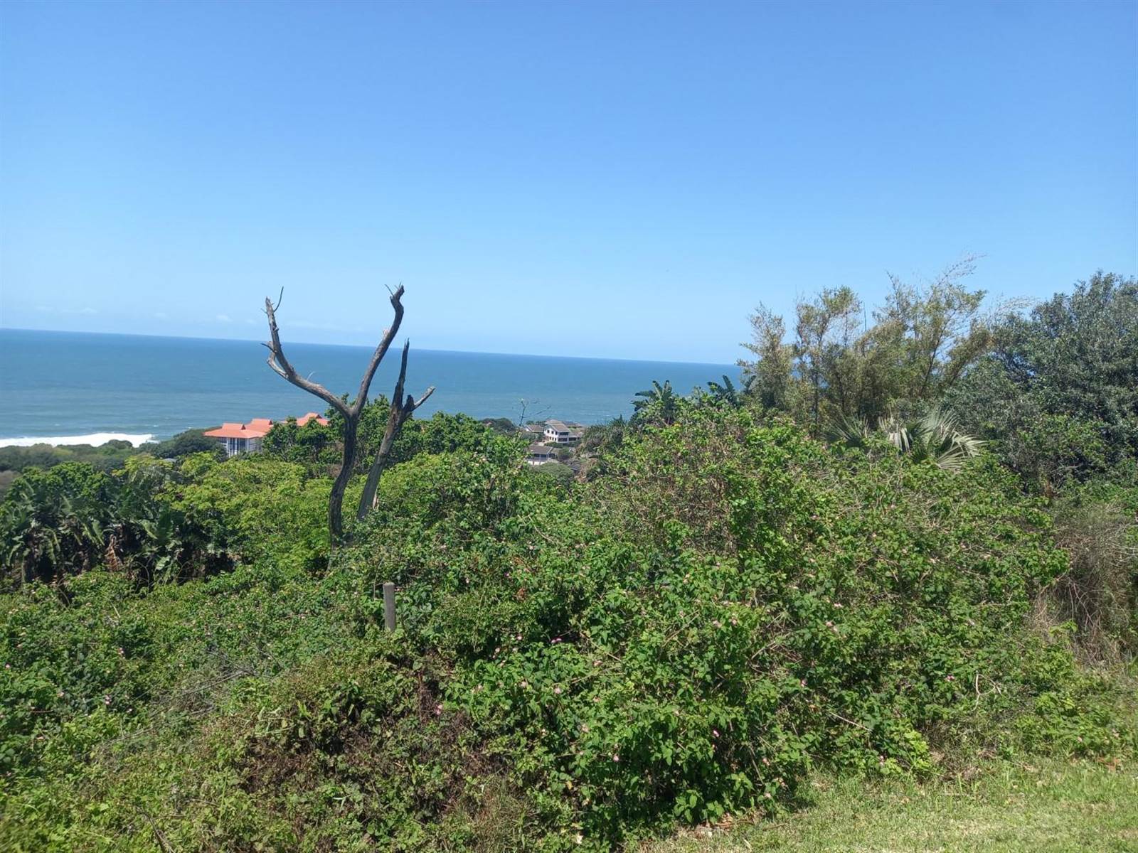 1180 m² Land available in Zinkwazi Beach photo number 14