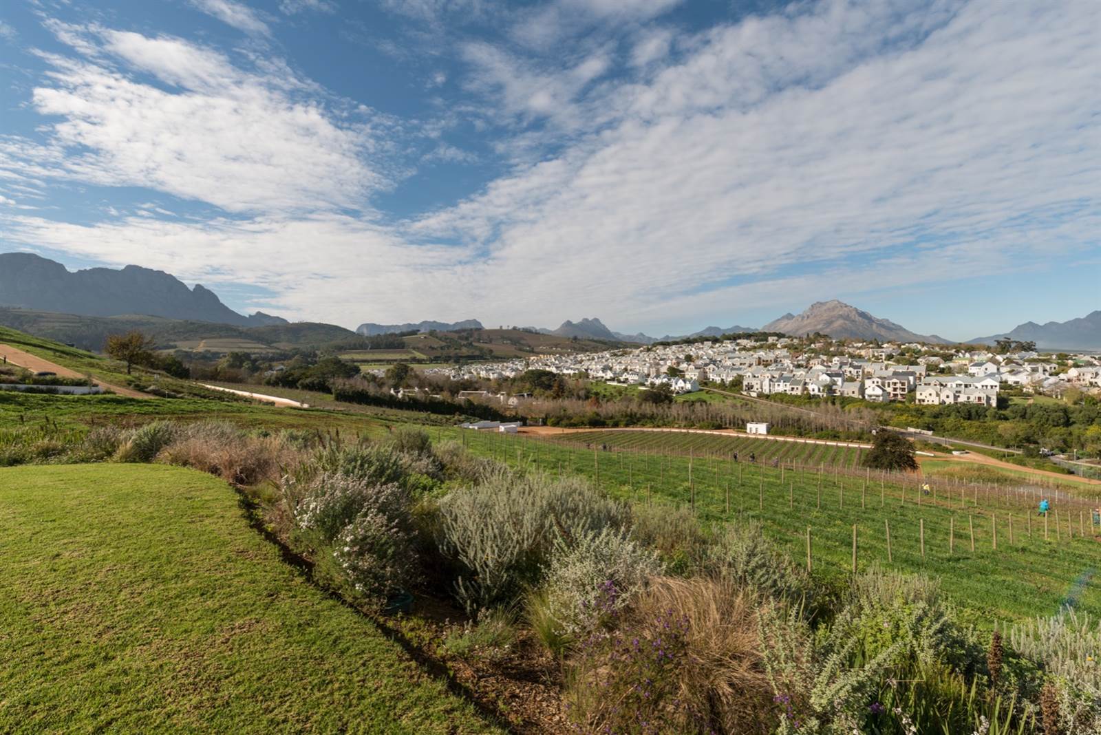 425 m² Land available in Stellenbosch Central photo number 8