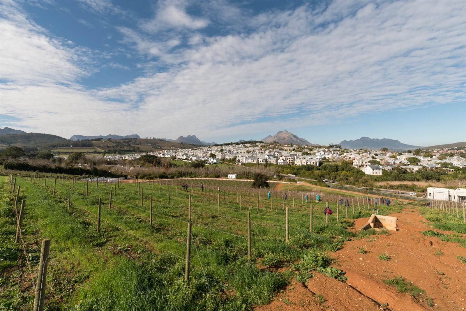 425 m² Land available in Stellenbosch Central photo number 11