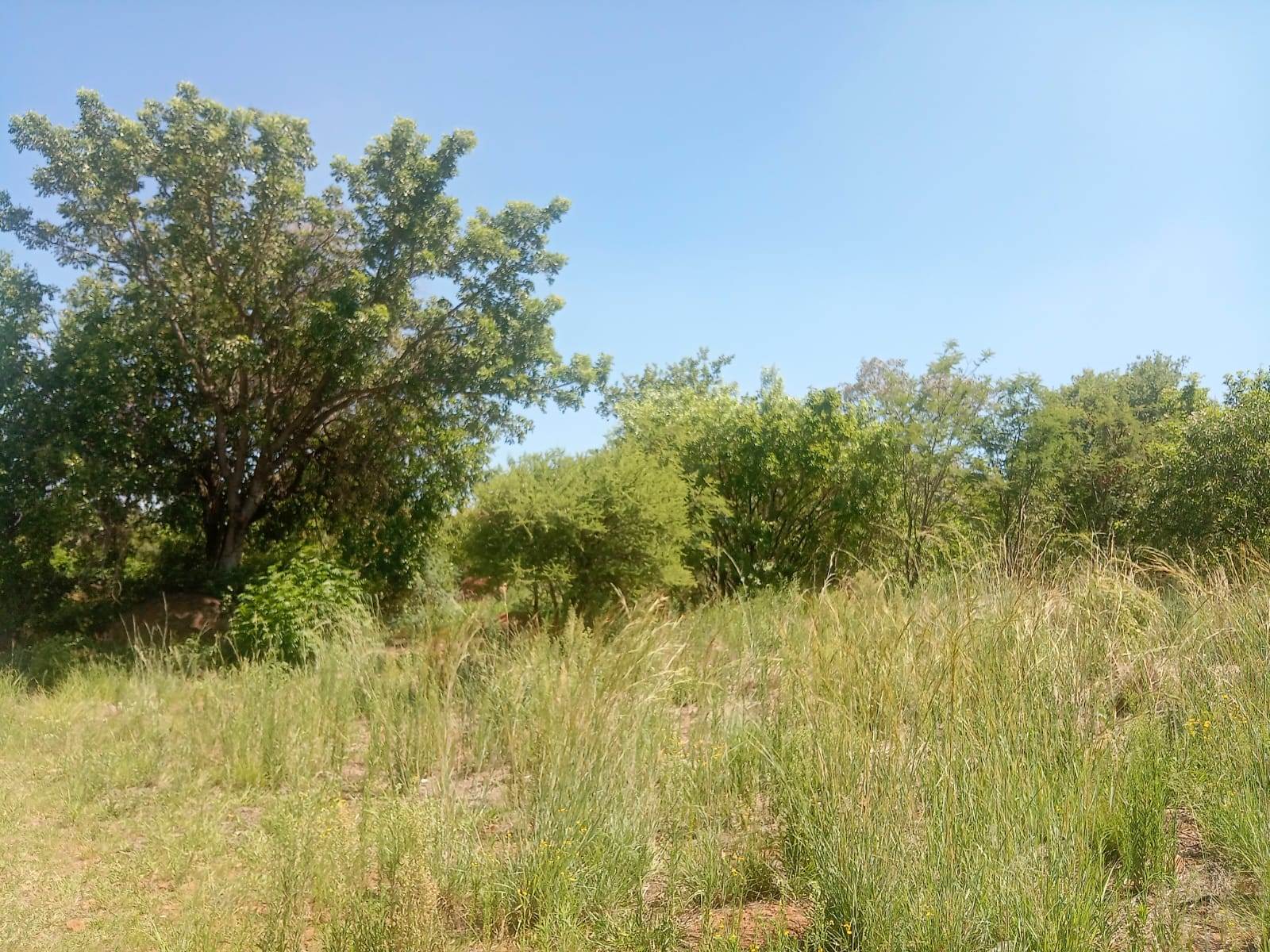 1049 m² Land available in Safari Gardens photo number 7