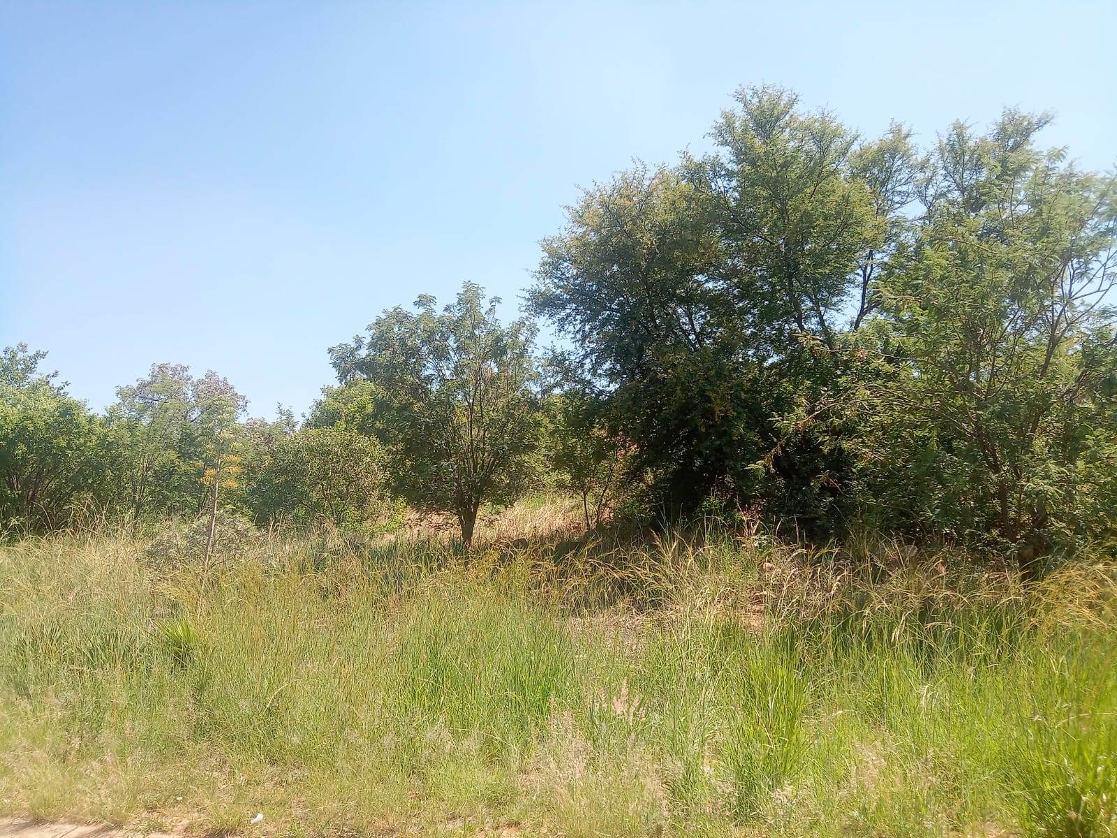 1049 m² Land available in Safari Gardens photo number 13