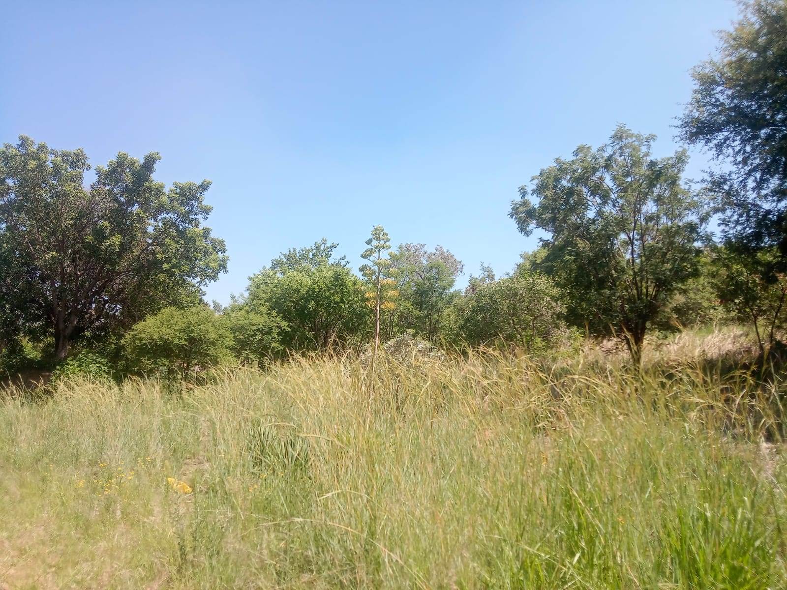 1049 m² Land available in Safari Gardens photo number 11