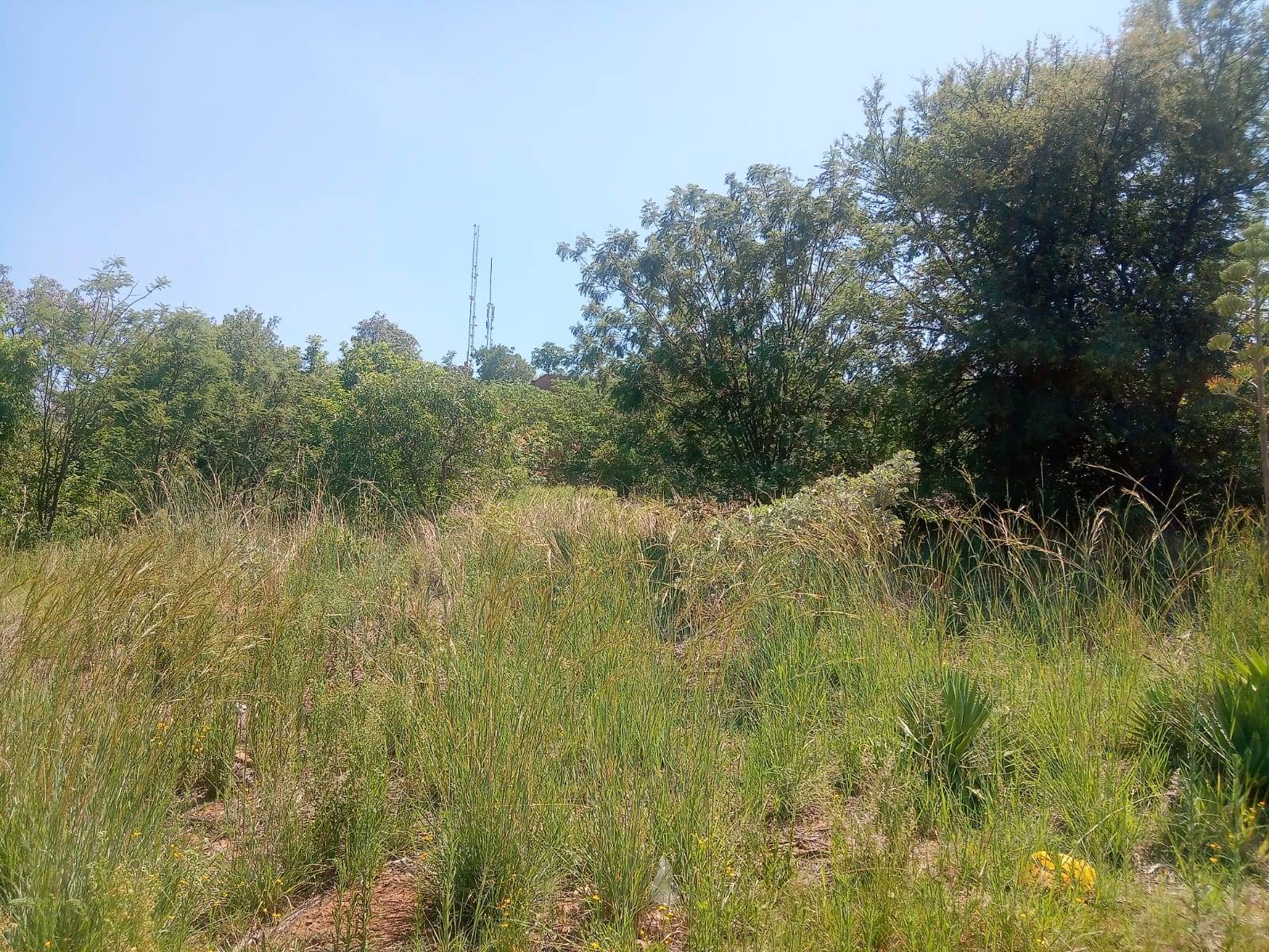 1049 m² Land available in Safari Gardens photo number 6