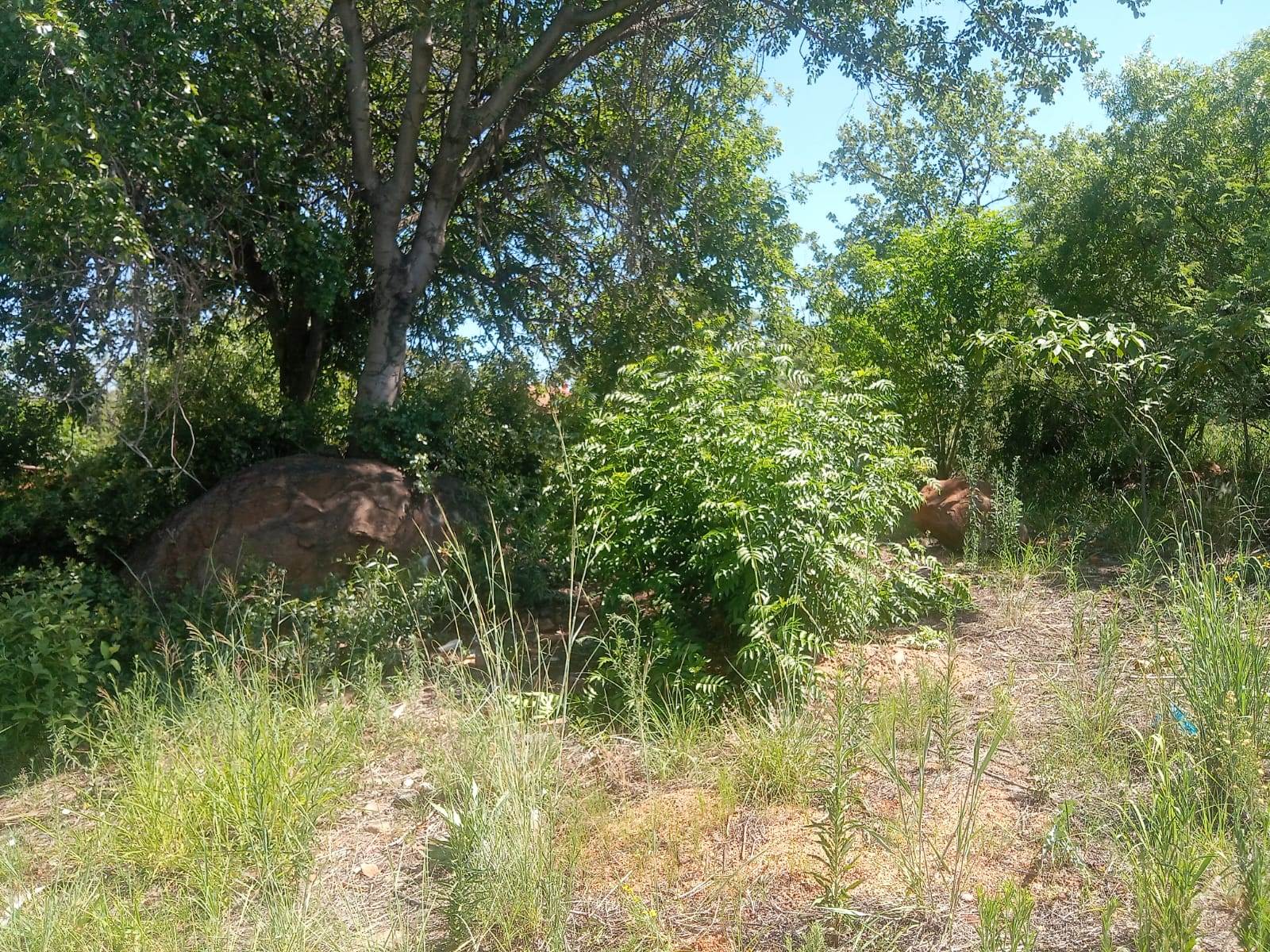 1049 m² Land available in Safari Gardens photo number 3