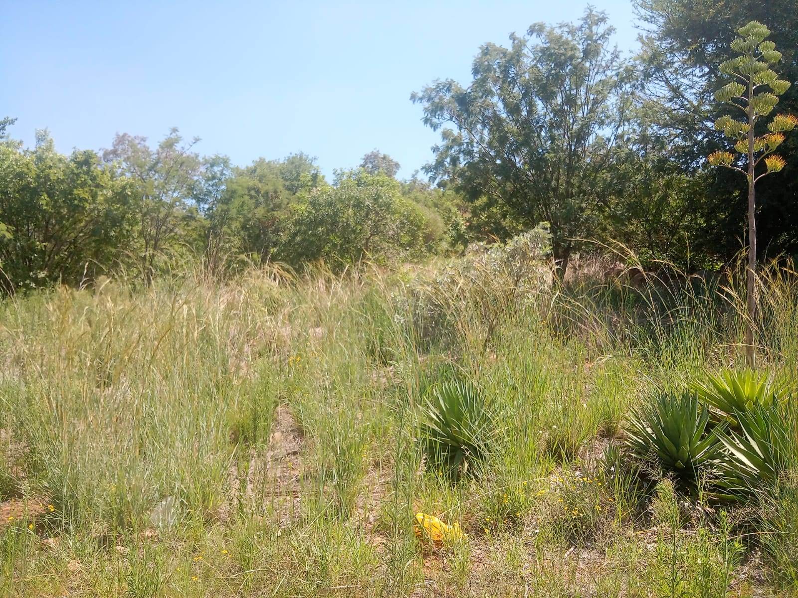 1049 m² Land available in Safari Gardens photo number 8