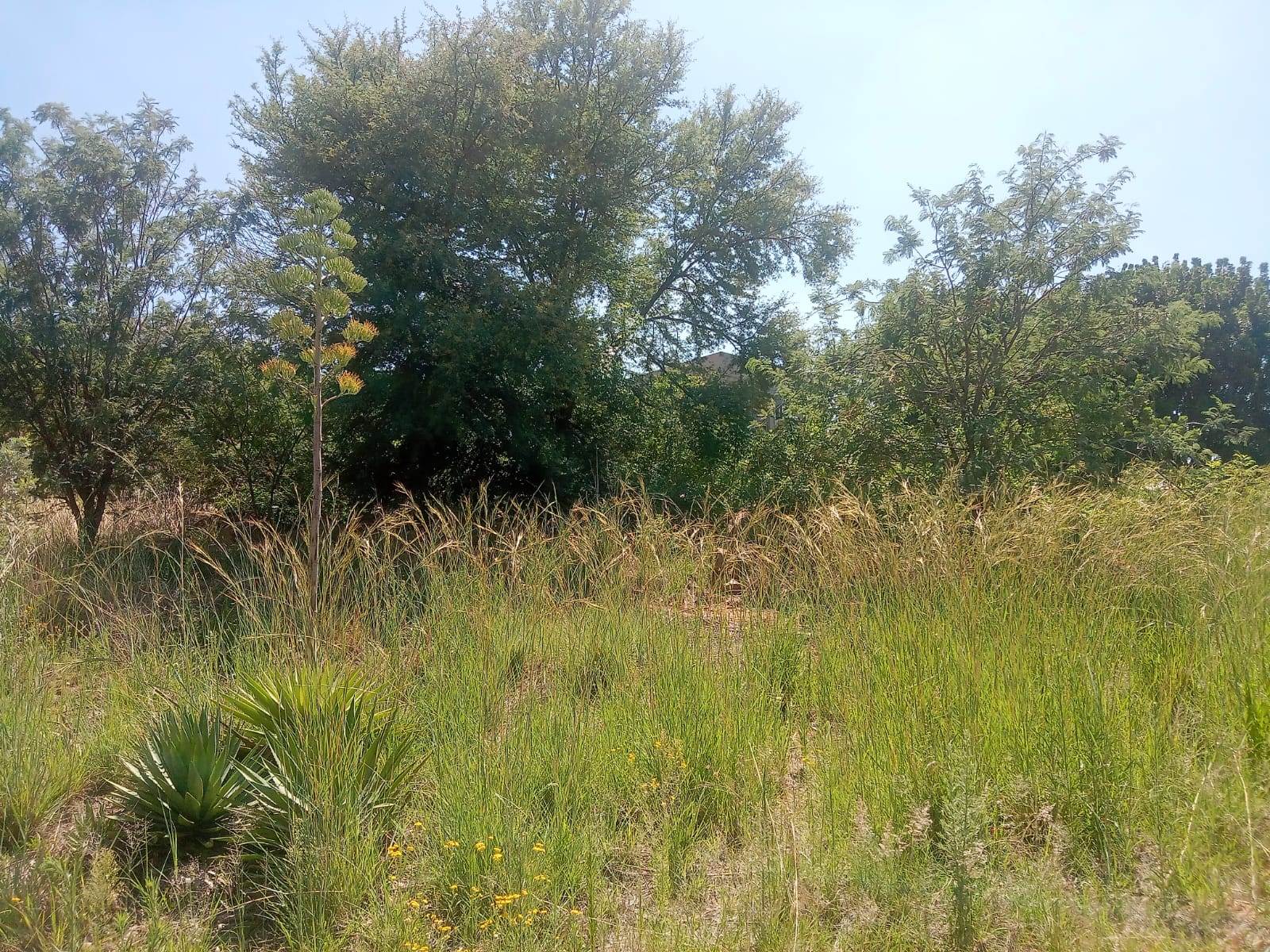 1049 m² Land available in Safari Gardens photo number 9
