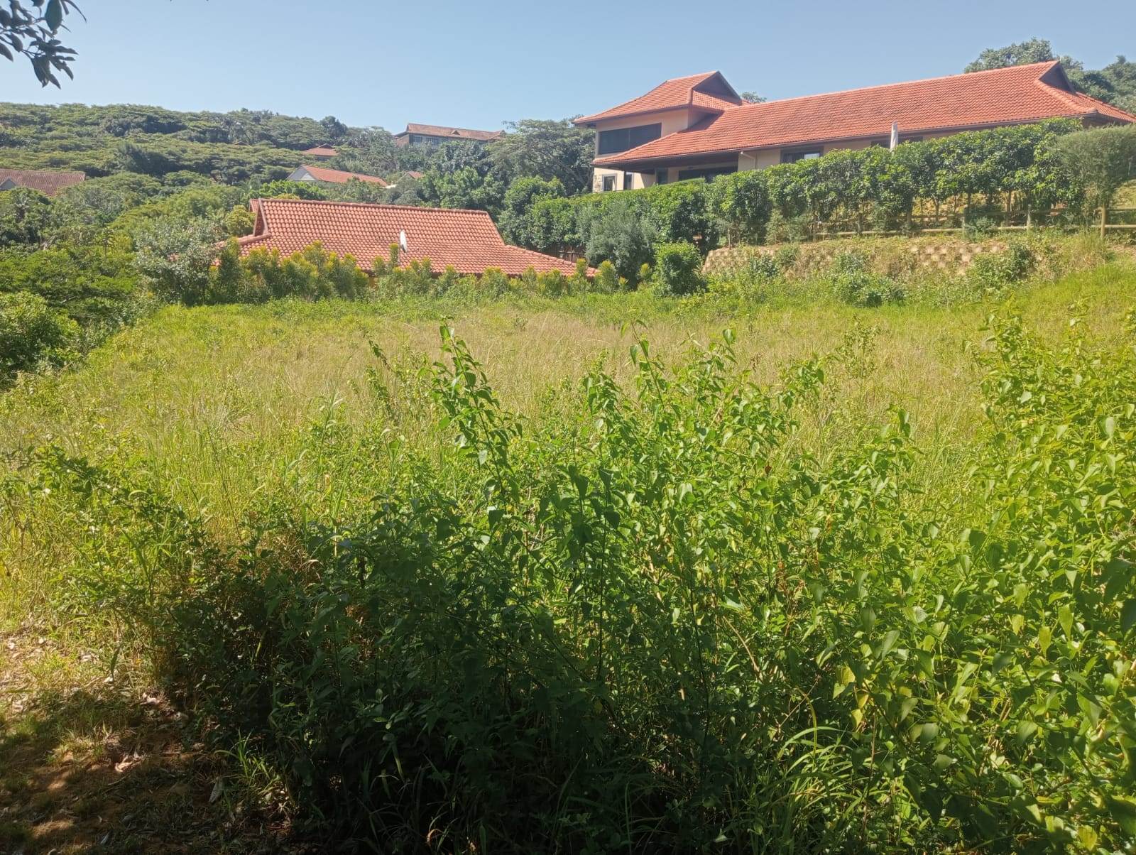 700 m² Land available in Port Zimbali Estate photo number 3