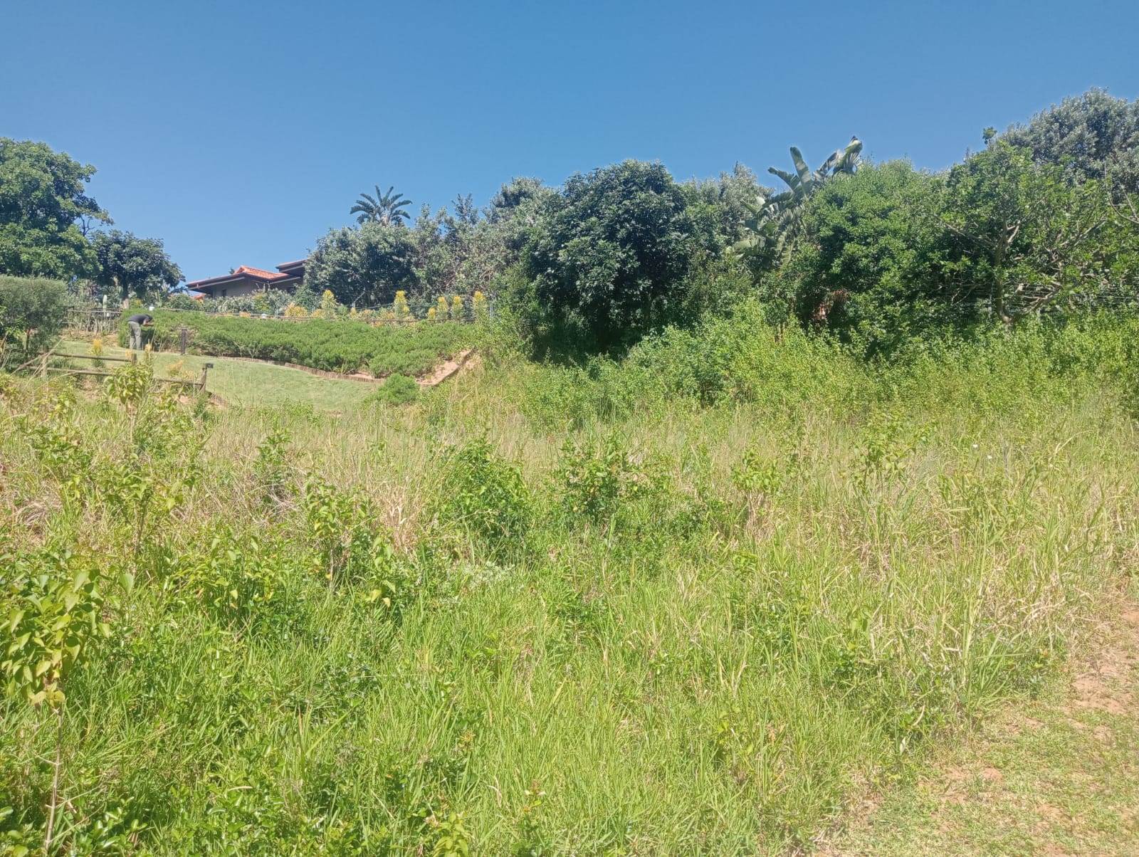700 m² Land available in Port Zimbali Estate photo number 6