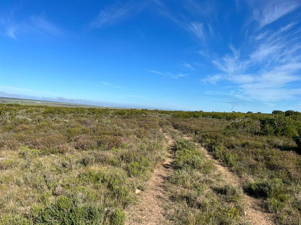 27.8 ha Land available in Mossel Bay Central photo number 9