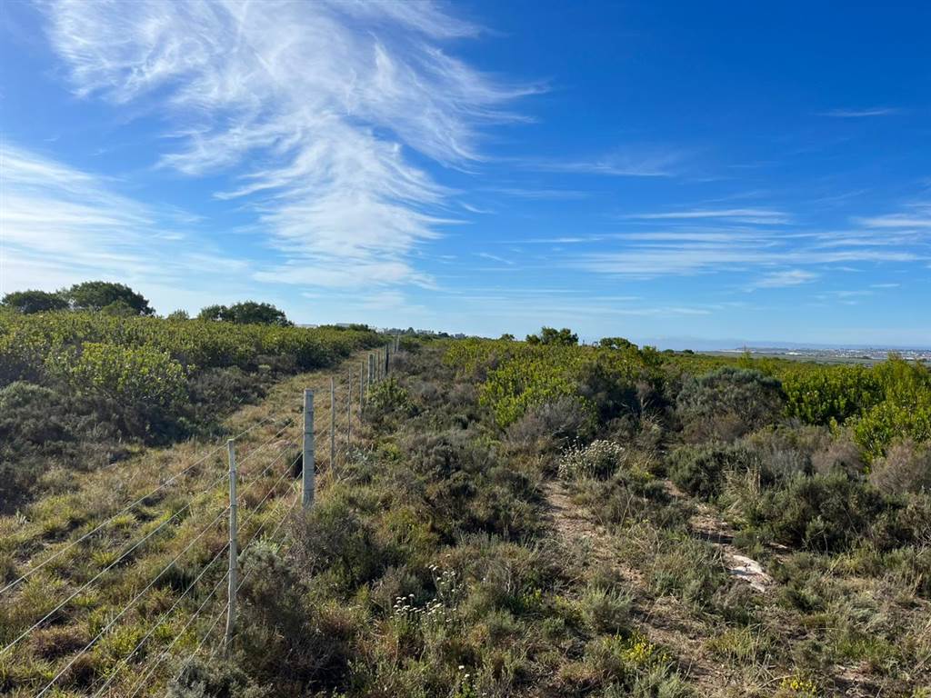 27.8 ha Land available in Mossel Bay Central photo number 2
