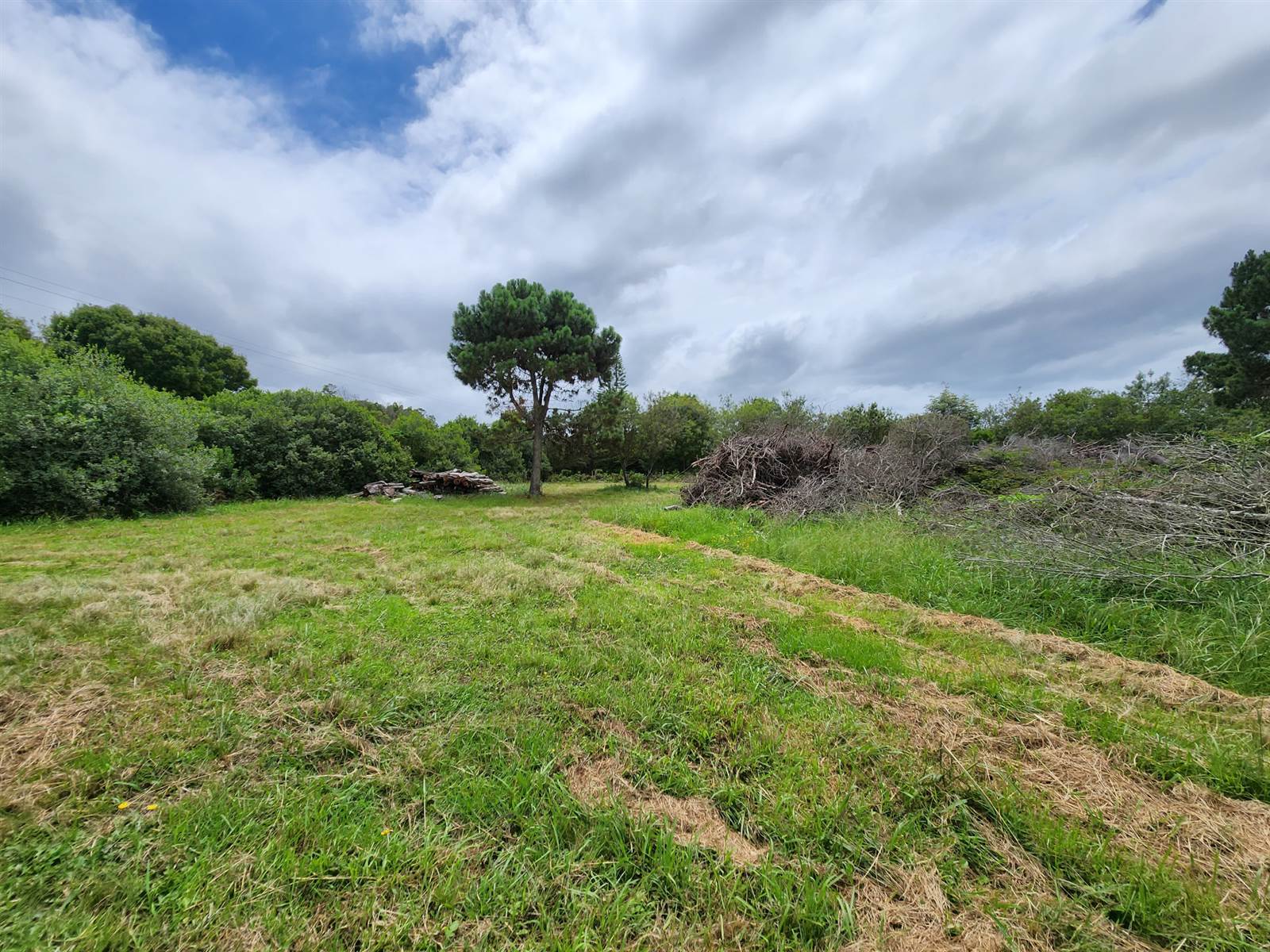 3.1 ha Land available in Wilderness Heights photo number 4
