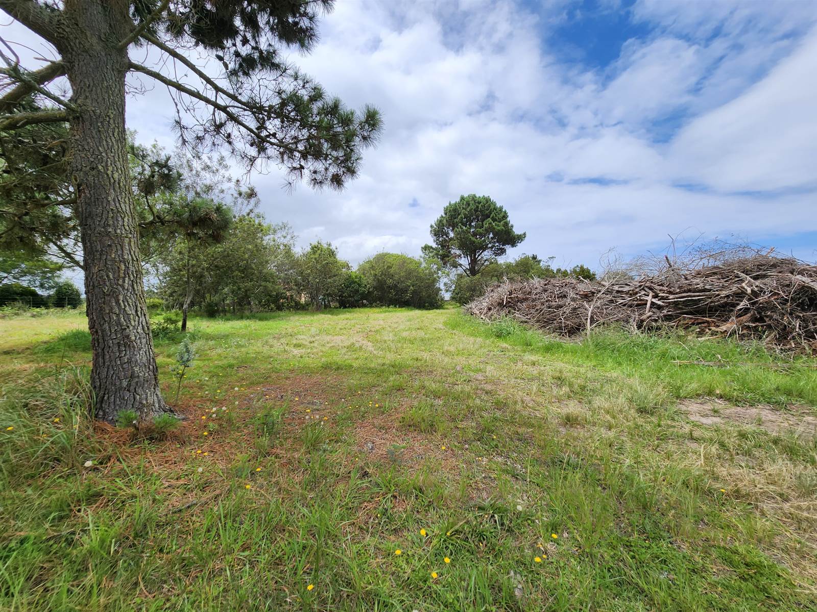 3.1 ha Land available in Wilderness Heights photo number 6