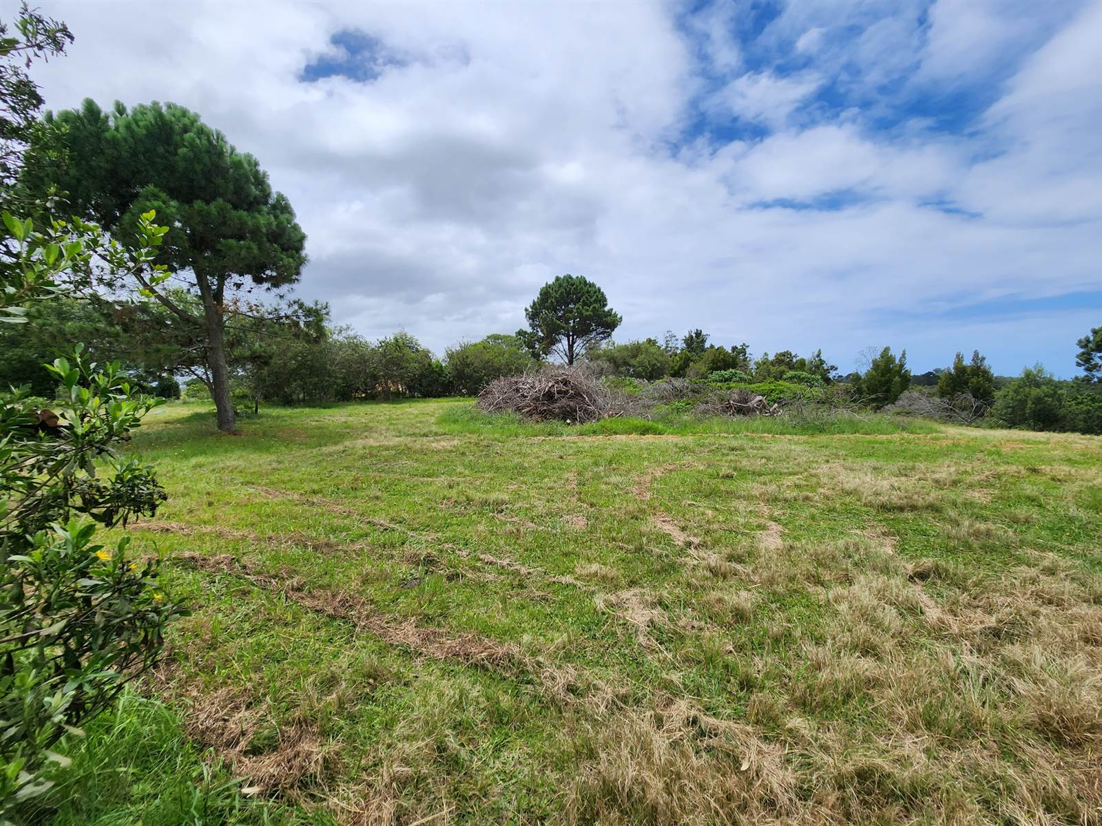 3.1 ha Land available in Wilderness Heights photo number 1