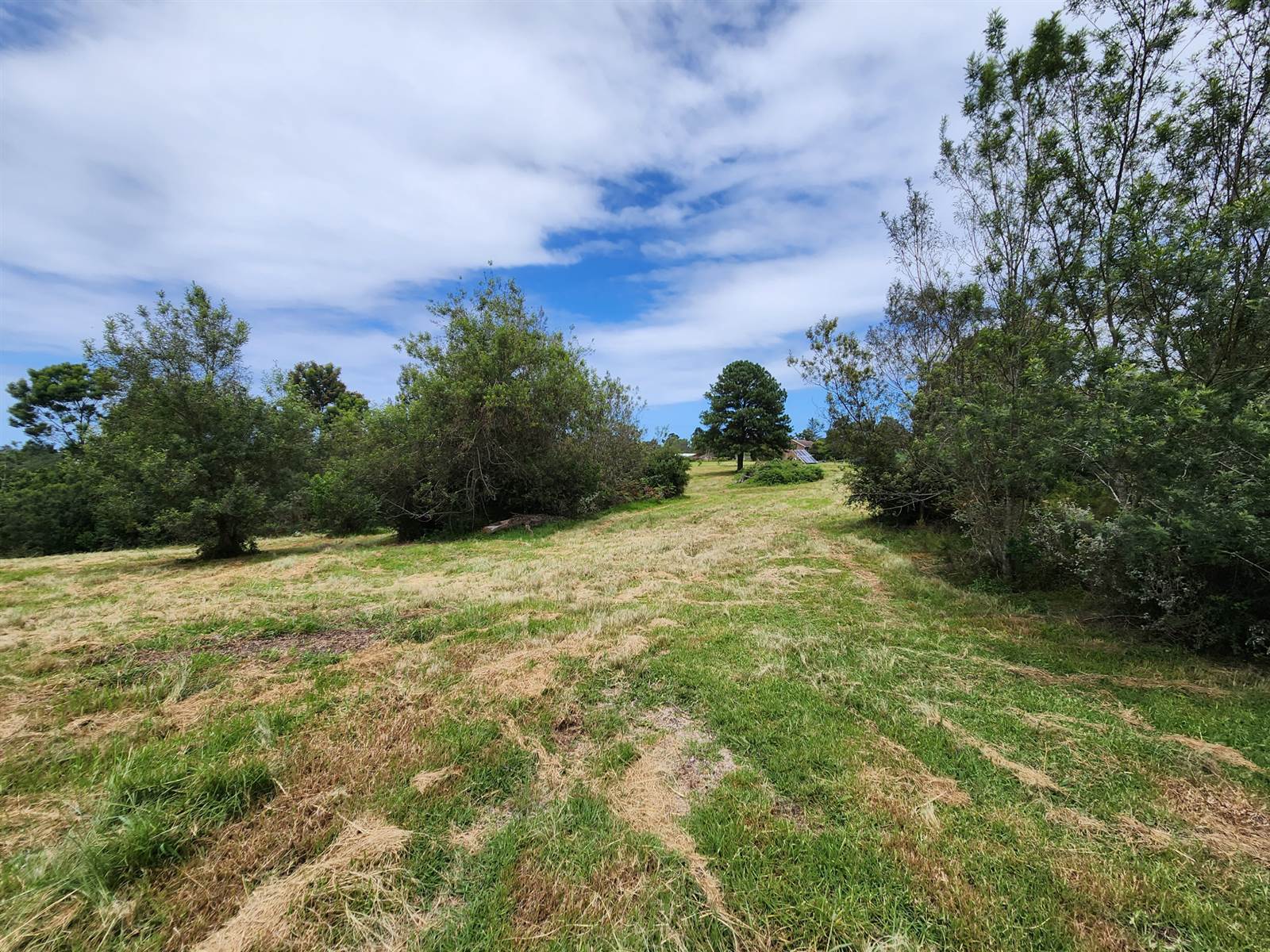 3.1 ha Land available in Wilderness Heights photo number 5