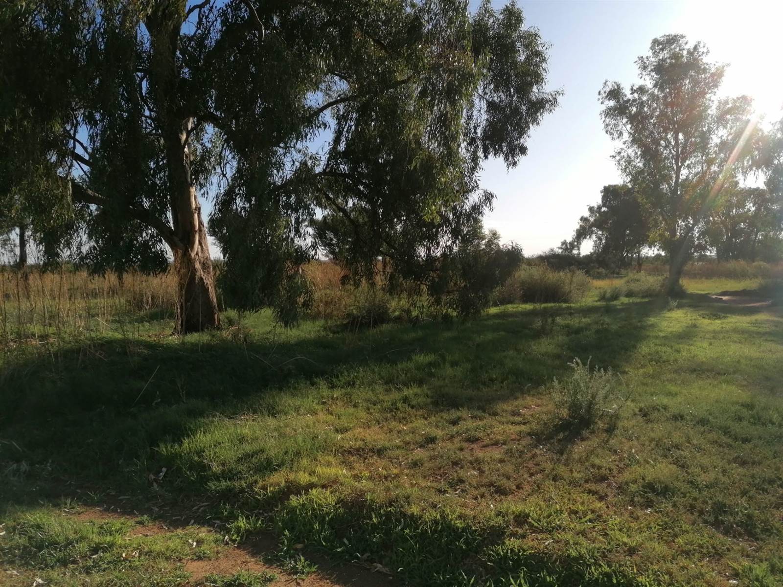 1263 m² Land available in Brandfort photo number 1