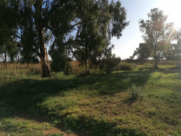 1263 m² Land available in Brandfort