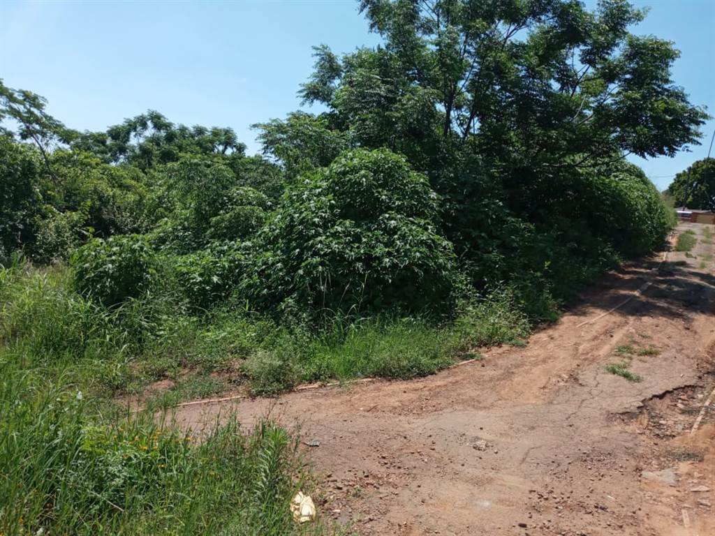 1169 m² Land available in Ntuzuma photo number 4