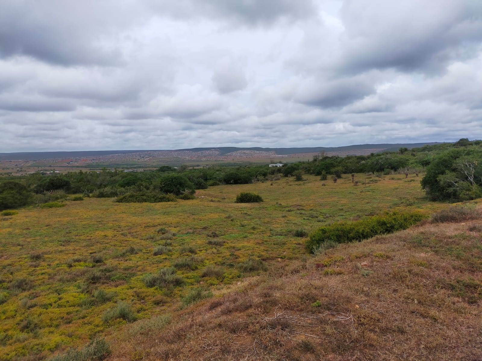 8.8 ha Land available in Uitenhage Rural photo number 26