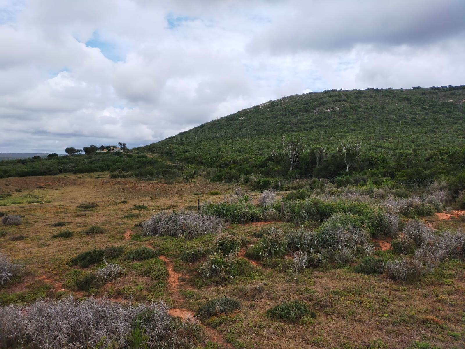 8.8 ha Land available in Uitenhage Rural photo number 9