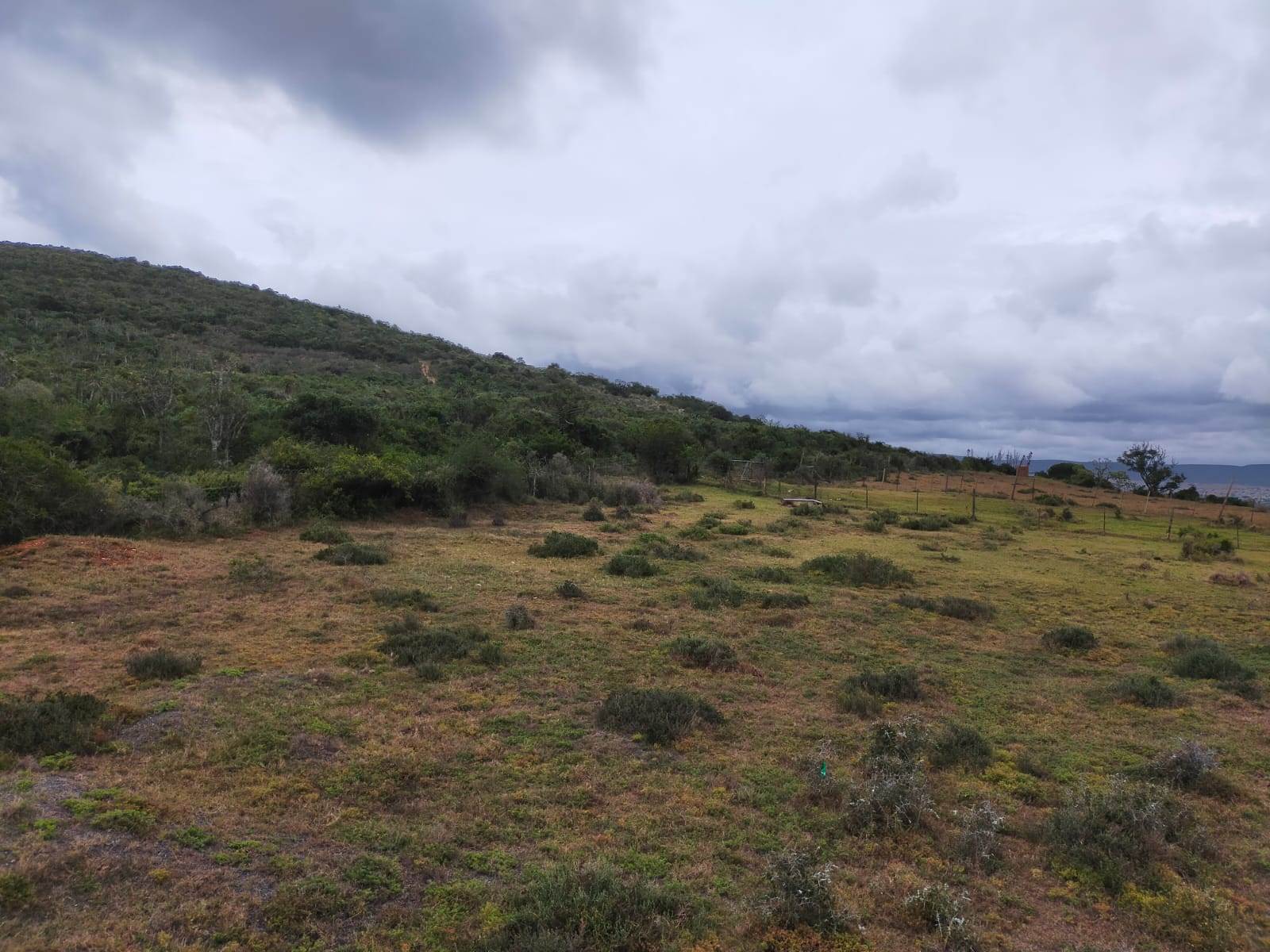 8.8 ha Land available in Uitenhage Rural photo number 14