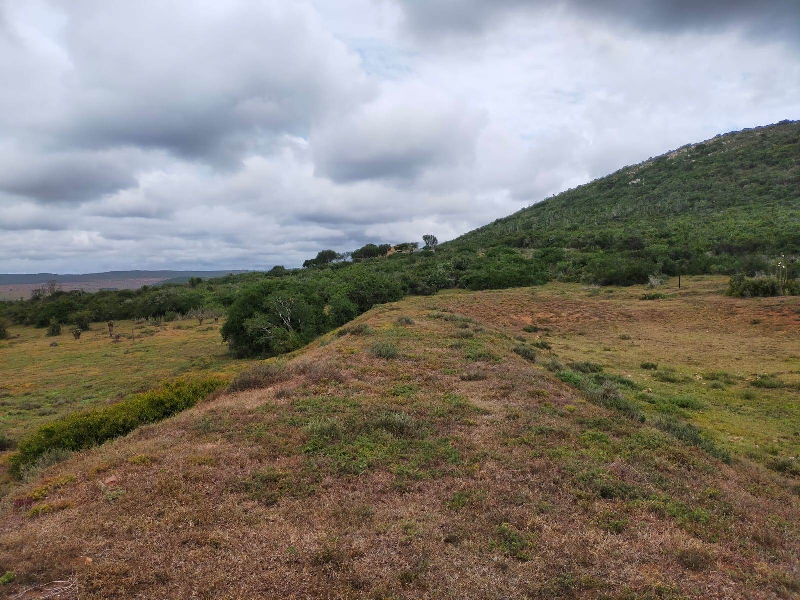 8.8 ha Land available in Uitenhage Rural photo number 25