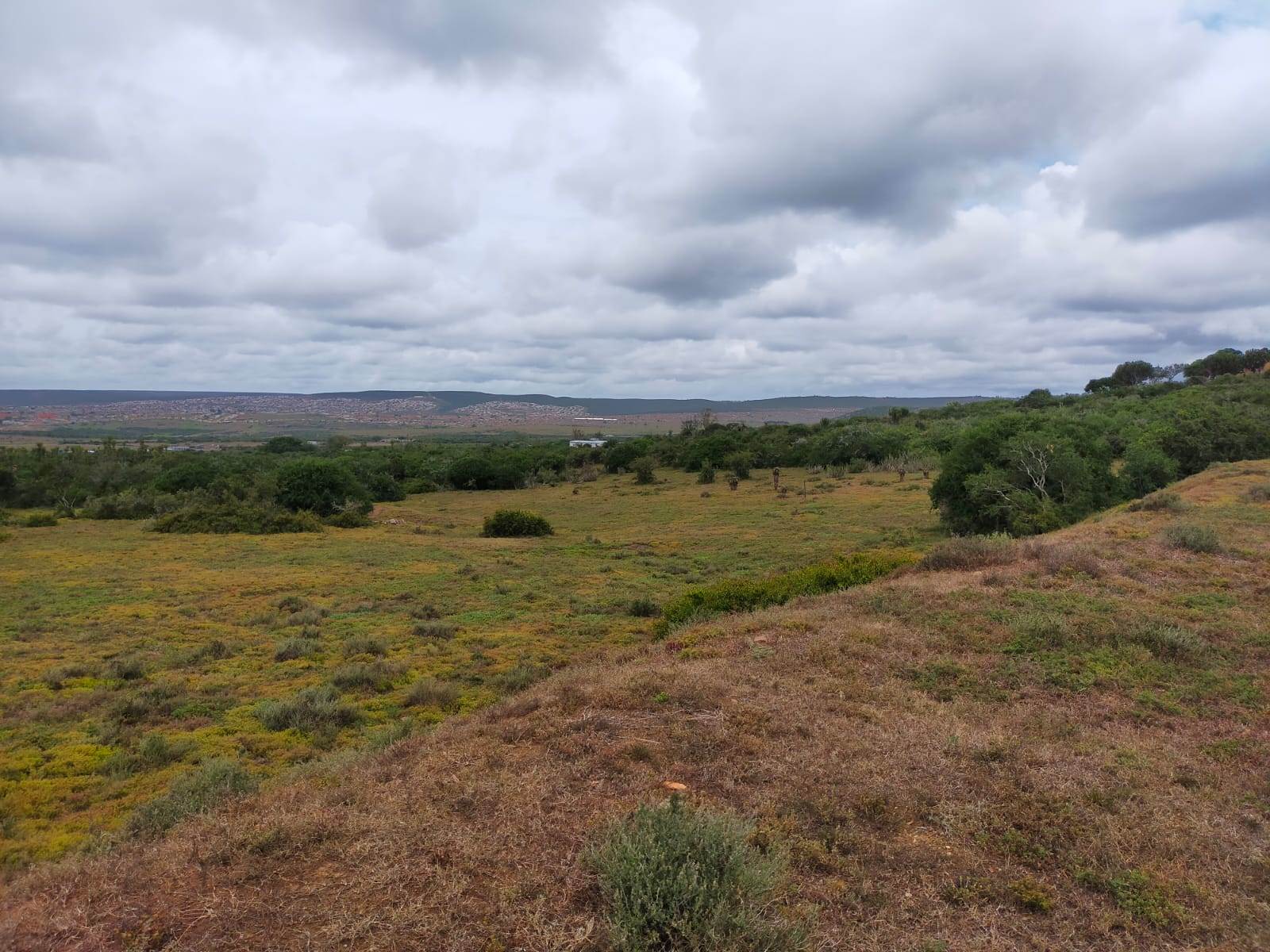 8.8 ha Land available in Uitenhage Rural photo number 23
