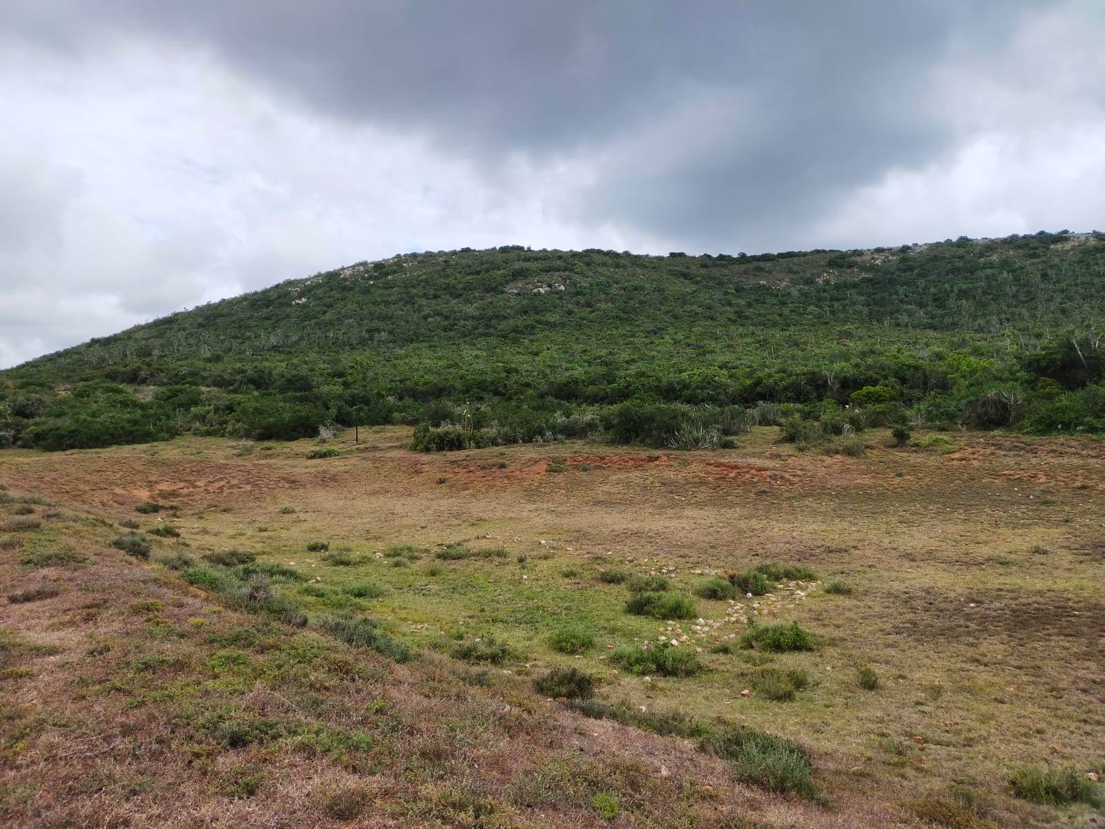 8.8 ha Land available in Uitenhage Rural photo number 27