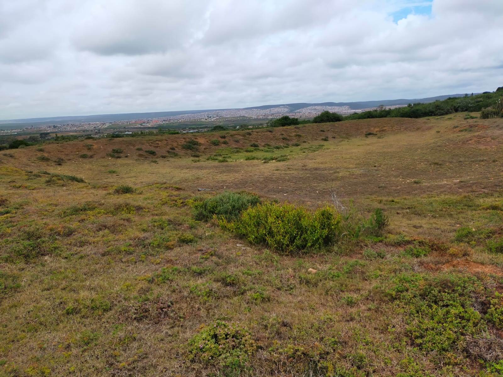 8.8 ha Land available in Uitenhage Rural photo number 11