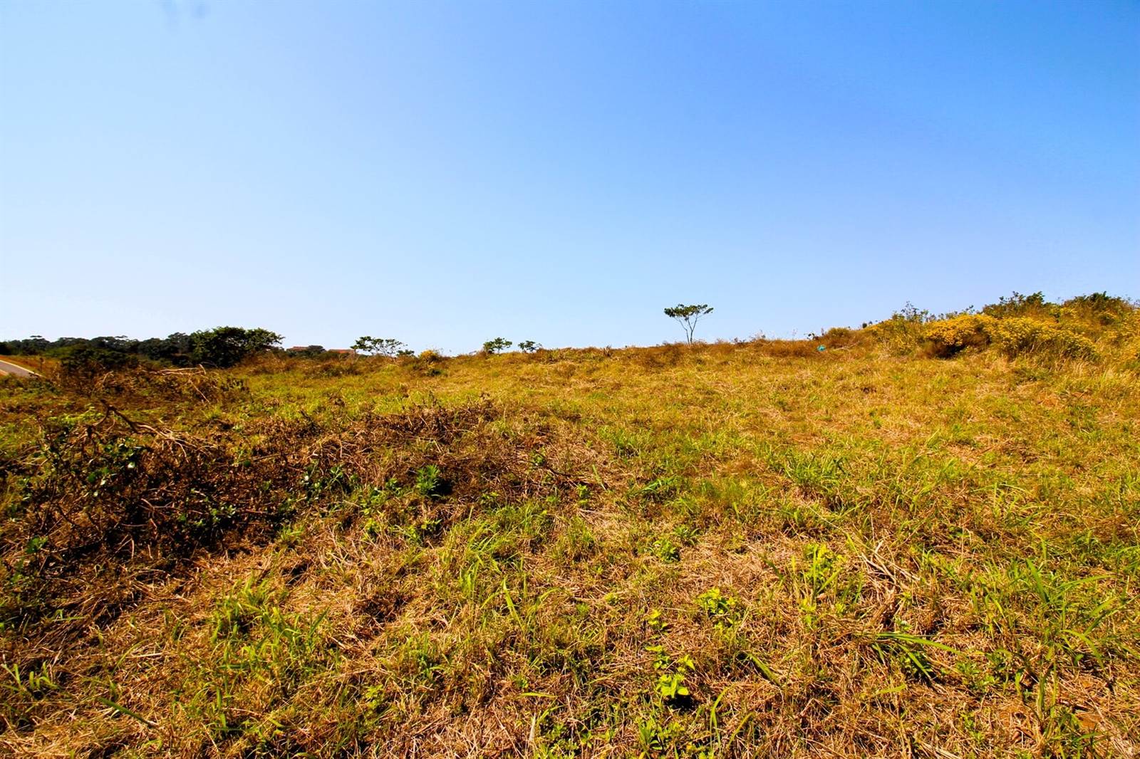 1158 m² Land available in Zimbali Lakes Resort photo number 10