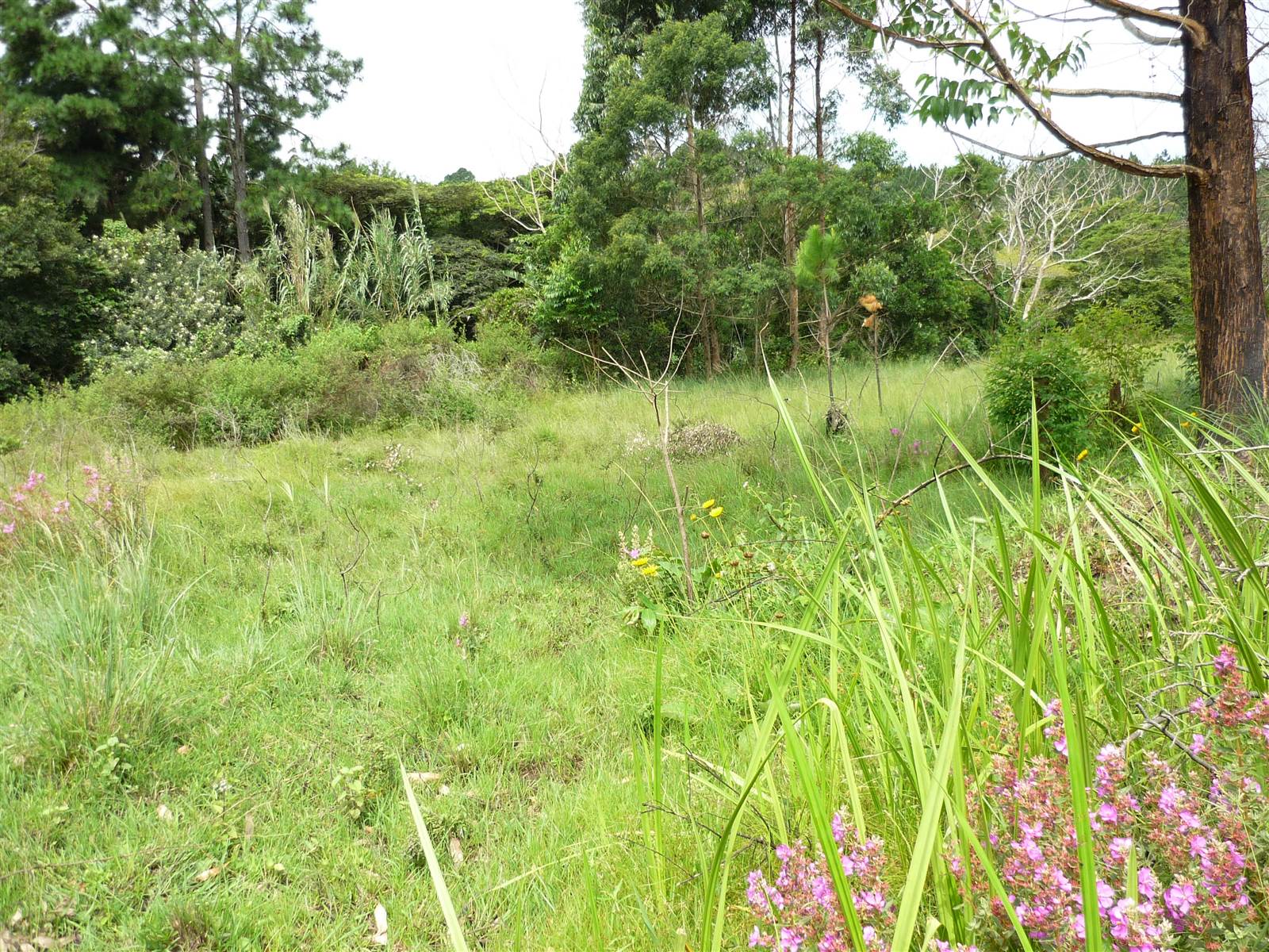 2.2 ha Land available in Uvongo photo number 4