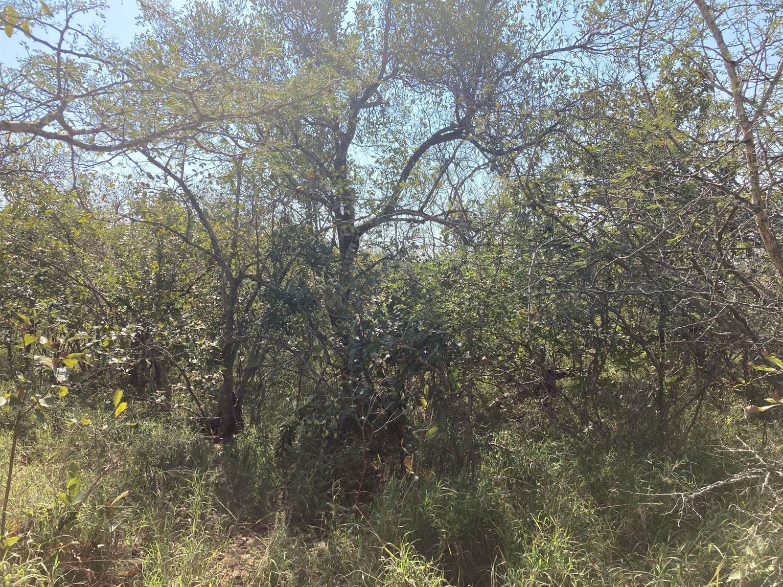 1.5 ha Land available in Moditlo Nature Reserve photo number 6