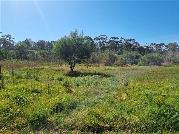 1233 m² Land available in Albertinia