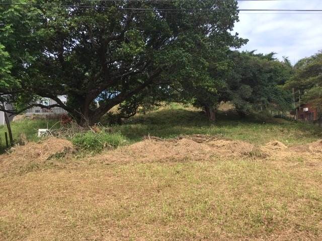 1254 m² Land available in Scottburgh Central photo number 4