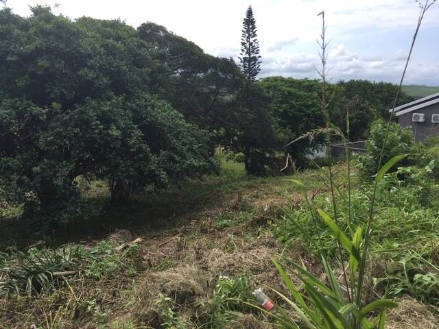1254 m² Land available in Scottburgh Central photo number 3