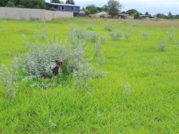 8565 m² Land available in Melodie