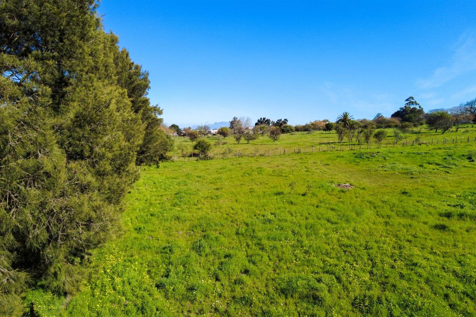 1.7 ha Farm in Brackenfell Central photo number 13