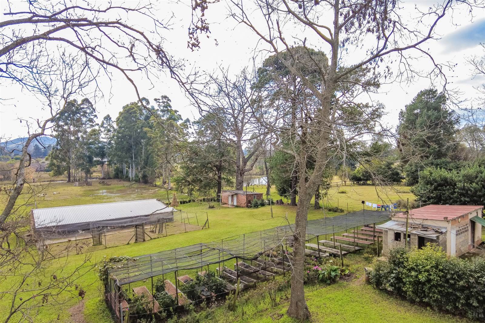 2.4 ha Smallholding in Howick photo number 10