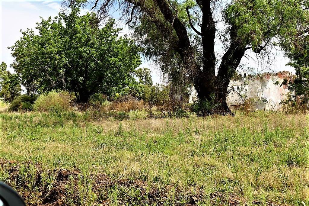 8070 m² Land available in Riversdale photo number 5