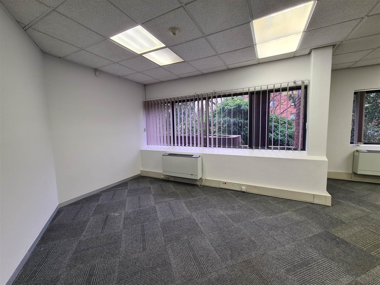 254  m² Commercial space in Parktown photo number 4