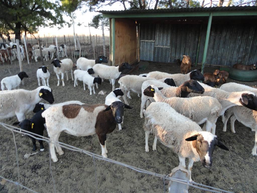 459 ha Farm in Thabazimbi photo number 11