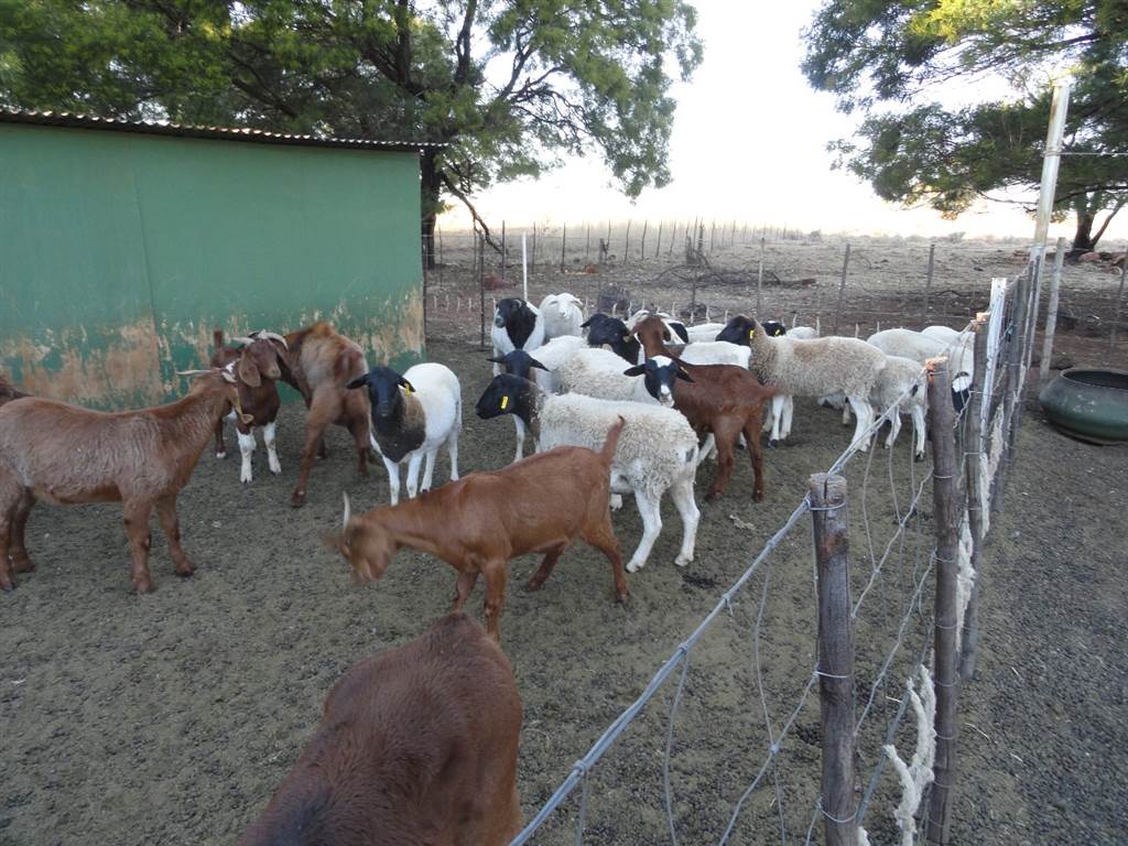 459 ha Farm in Thabazimbi photo number 13
