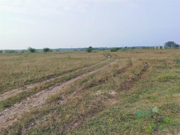 2196 m² Land available in Secunda