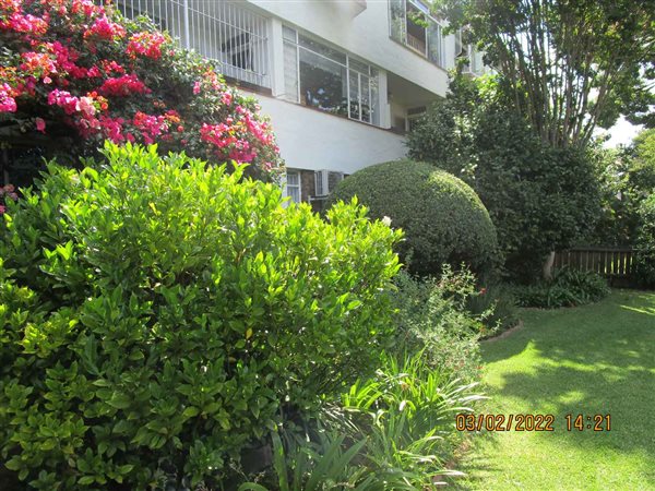 1 Bedroom Apartment 1 Bedroom Apartment