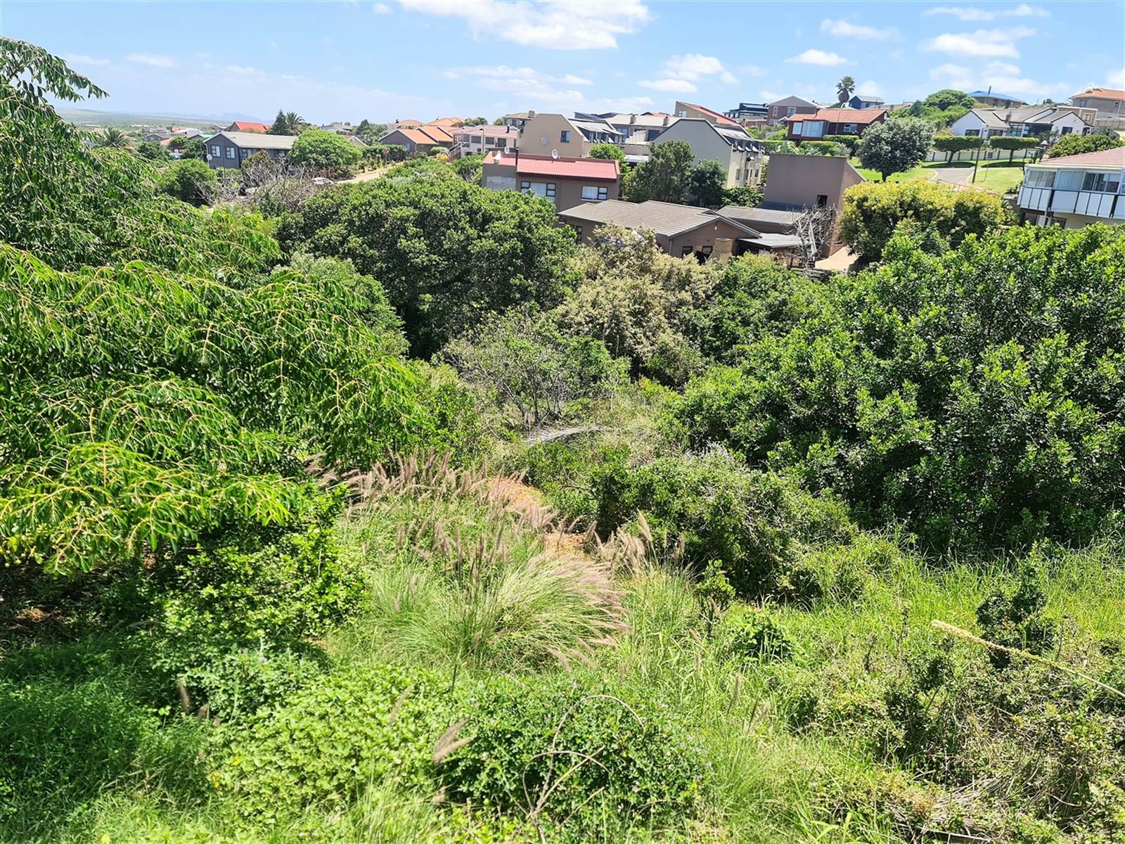 750 m² Land available in Dana Bay photo number 7