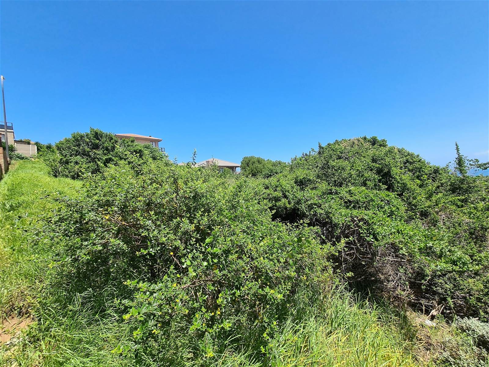 750 m² Land available in Dana Bay photo number 13