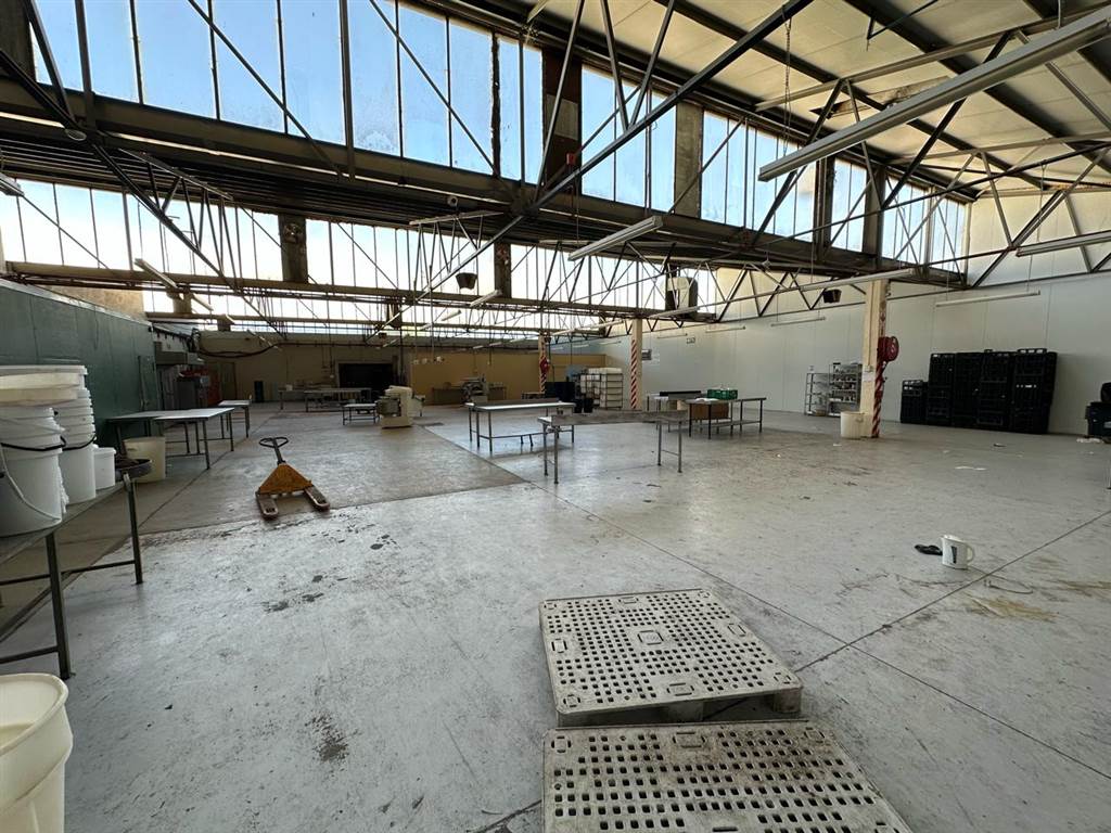 1650  m² Industrial space in Wetton photo number 11